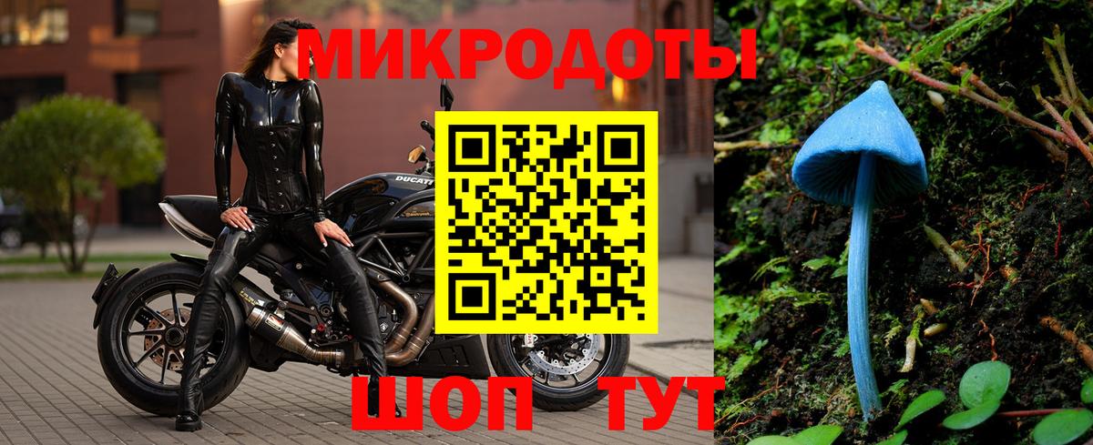 Галлюциногенные грибы Cubensis  Псилоцибиновые грибы GOLDEN TEACHER  Вход с VPN  Энгельс 